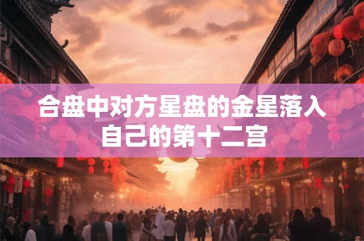合盘中对方星盘的金星落入自己的第十二宫