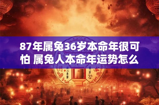 87年属兔36岁本命年很可怕 属兔人本命年运势怎么样