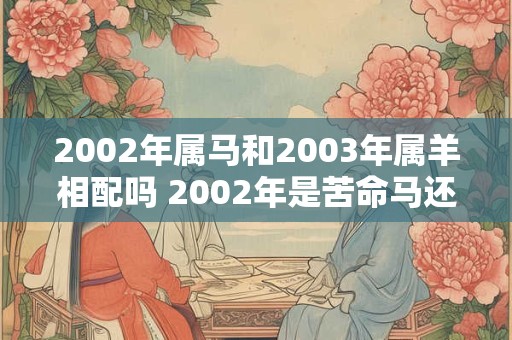 2002年属马和2003年属羊相配吗 2002年是苦命马还是富马 2002年属马和2003年属羊相配吗 2002年是苦命马还是富马