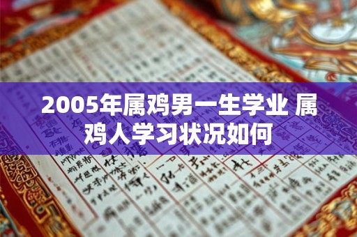 2005年属鸡男一生学业 属鸡人学习状况如何 2005年属鸡男一生学业 属鸡人学习状况如何