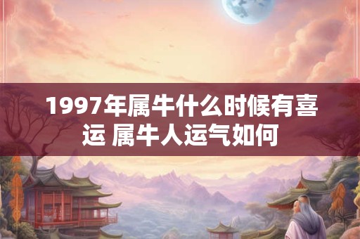 1997年属牛什么时候有喜运 属牛人运气如何