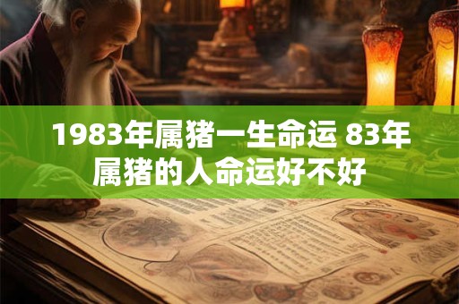 1983年属猪一生命运 83年属猪的人命运好不好 1983年属猪一生命运 83年属猪的人命运好不好