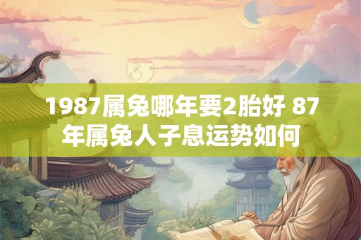 1987属兔哪年要2胎好 87年属兔人子息运势如何