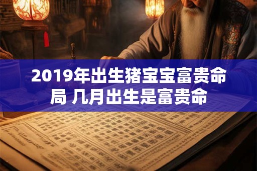 2019年出生猪宝宝富贵命局 几月出生是富贵命