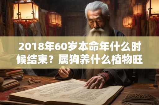 2018年60岁本命年什么时候结束？属狗养什么植物旺财运？