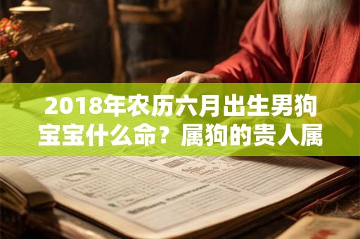 2018年农历六月出生男狗宝宝什么命？属狗的贵人属相是什么？