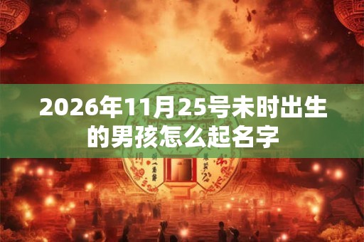 2026年11月25号未时出生的男孩怎么起名字
