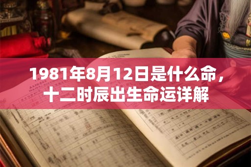 1981年8月12日是什么命，十二时辰出生命运详解