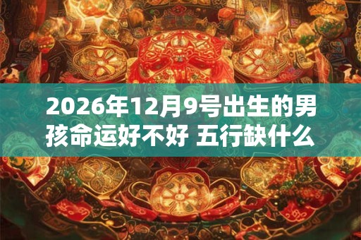 2026年12月9号出生的男孩命运好不好 五行缺什么