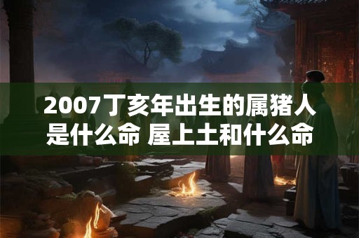 2007丁亥年出生的属猪人是什么命 屋上土和什么命最配 2007丁亥年出生的属猪人是什么命 屋上土和什么命最配