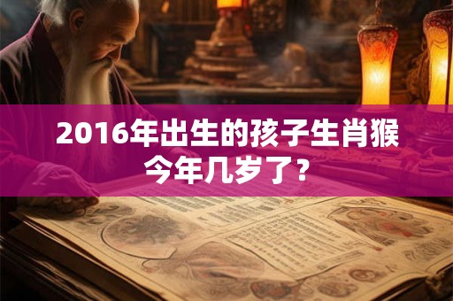 2016年出生的孩子生肖猴今年几岁了？
