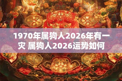 1970年属狗人2026年有一灾 属狗人2026运势如何 1970年属狗人2026年有一灾 属狗人2026运势如何