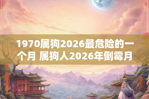 1970属狗2026最危险的一个月 属狗人2026年倒霉月份