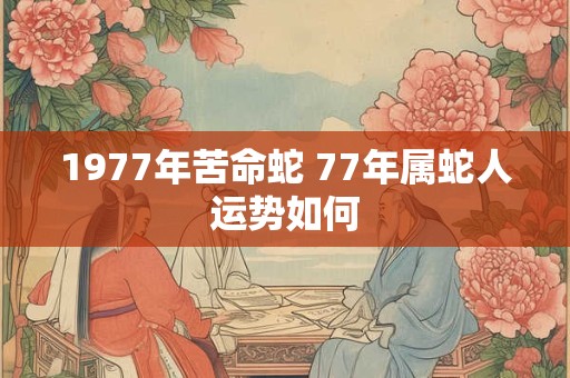 1977年苦命蛇 77年属蛇人运势如何 1977年苦命蛇 77年属蛇人运势如何