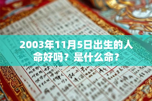 2003年11月5日出生的人命好吗?是什么命? 2003年11月5日出生的人命好吗?是什么命?
