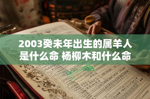 2003癸未年出生的属羊人是什么命 杨柳木和什么命最配