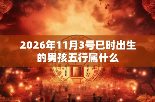 2026年11月3号巳时出生的男孩五行属什么
