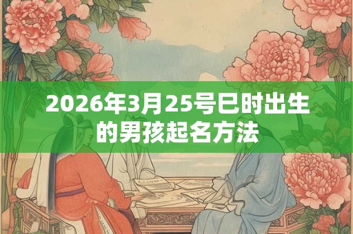 2026年3月25号巳时出生的男孩起名方法