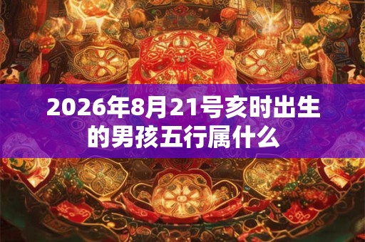 2026年8月21号亥时出生的男孩五行属什么 2026年8月21号亥时出生的男孩五行属什么