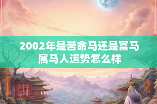 2002年是苦命马还是富马 属马人运势怎么样 2002年是苦命马还是富马 属马人运势怎么样