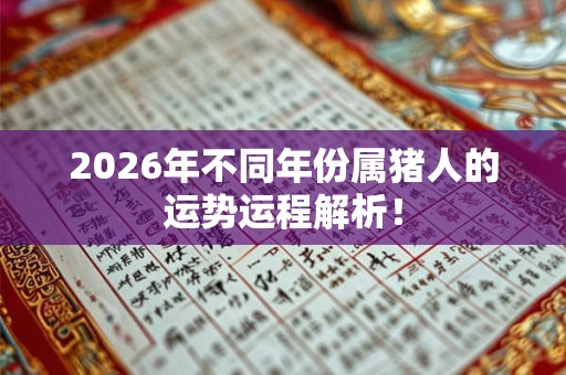 2026年不同年份属猪人的运势运程解析！