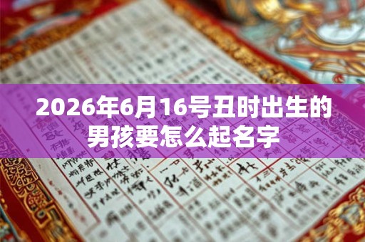 2026年6月16号丑时出生的男孩要怎么起名字 2026年6月16号丑时出生的男孩要怎么起名字