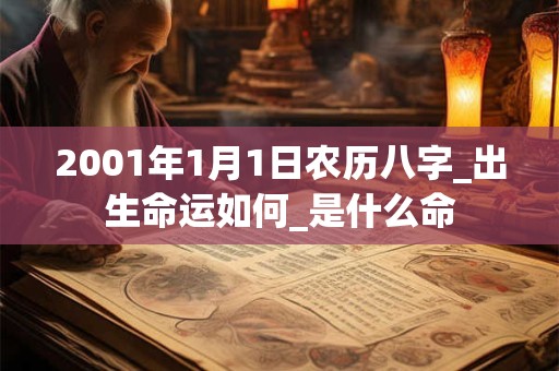 2001年1月1日农历八字_出生命运如何_是什么命