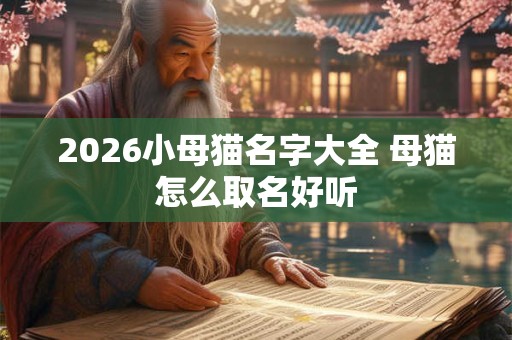 2026小母猫名字大全 母猫怎么取名好听 2026小母猫名字大全 母猫怎么取名好听