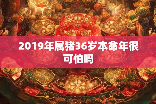 2019年属猪36岁本命年很可怕吗 2019年属猪36岁本命年很可怕吗