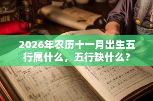 2026年农历十一月出生五行属什么,五行缺什么? 2026年农历十一月出生五行属什么,五行缺什么?