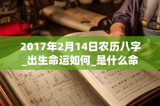 2017年2月14日农历八字_出生命运如何_是什么命