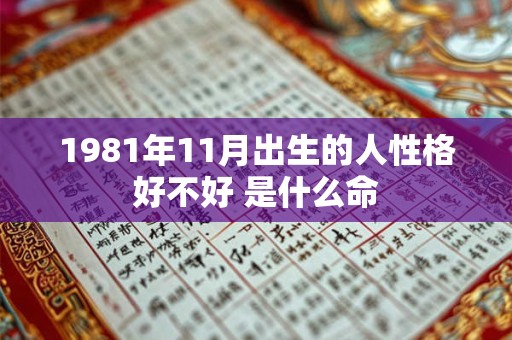 1981年11月出生的人性格好不好 是什么命 1981年11月出生的人性格好不好 是什么命