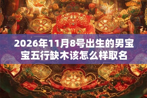 2026年11月8号出生的男宝宝五行缺木该怎么样取名
