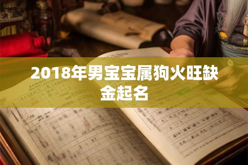2018年男宝宝属狗火旺缺金起名