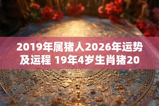 2019年属猪人2026年运势及运程 19年4岁生肖猪2026年每月运势 2019年属猪人2026年运势及运程 19年4岁生肖猪2026年每月运势