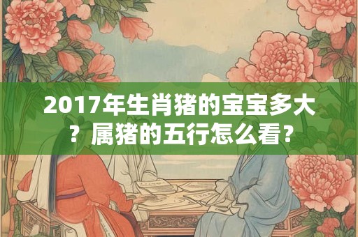 2017年生肖猪的宝宝多大？属猪的五行怎么看？