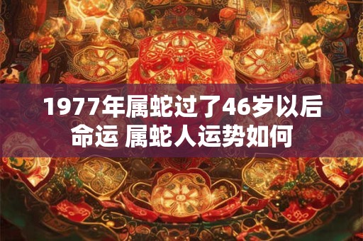 1977年属蛇过了46岁以后命运 属蛇人运势如何