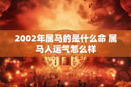 2002年属马的是什么命 属马人运气怎么样