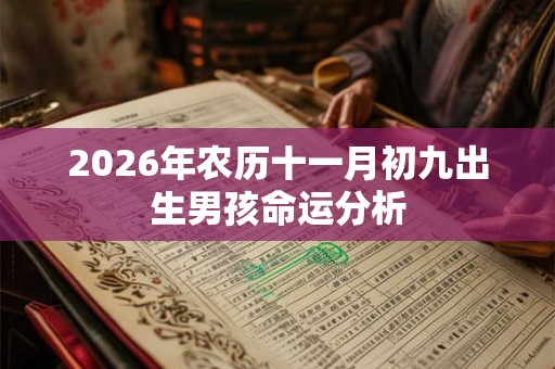 2026年农历十一月初九出生男孩命运分析 2026年农历十一月初九出生男孩命运分析