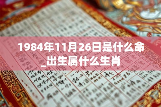 1984年11月26日是什么命_出生属什么生肖 1984年11月26日是什么命_出生属什么生肖