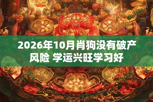 2026年10月肖狗没有破产风险 学运兴旺学习好