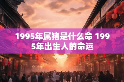 1995年属猪是什么命 1995年出生人的命运
