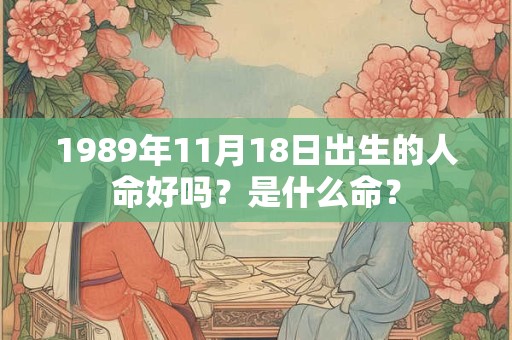 1989年11月18日出生的人命好吗?是什么命? 1989年11月18日出生的人命好吗?是什么命?
