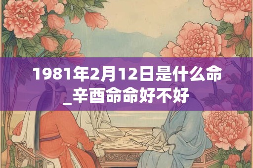 1981年2月12日是什么命_辛酉命命好不好 1981年2月12日是什么命_辛酉命命好不好