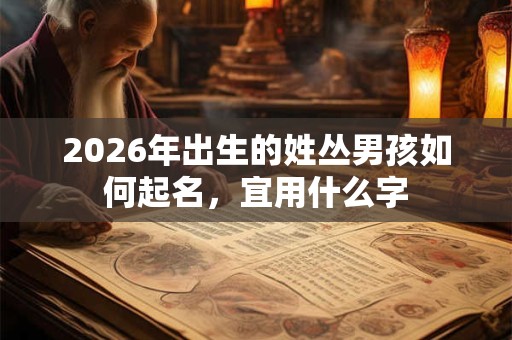 2026年出生的姓丛男孩如何起名，宜用什么字