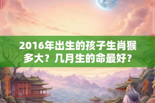 2016年出生的孩子生肖猴多大?几月生的命最好? 2016年出生的孩子生肖猴多大?几月生的命最好?