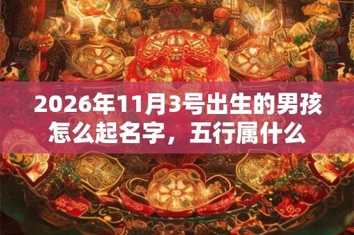 2026年11月3号出生的男孩怎么起名字,五行属什么 2026年11月3号出生的男孩怎么起名字,五行属什么