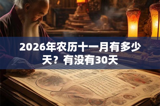 2026年农历十一月有多少天?有没有30天 2026年农历十一月有多少天?有没有30天