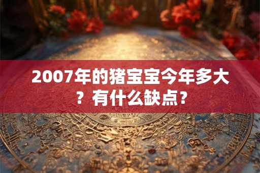 2007年的猪宝宝今年多大？有什么缺点？
