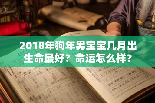 2018年狗年男宝宝几月出生命最好?命运怎么样? 2018年狗年男宝宝几月出生命最好?命运怎么样?